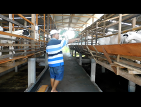 Indukan Produktif #1